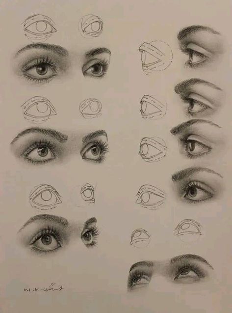 Left Side Face Drawing, Eye Sketches Pencil, Eye Study Reference, Eye Study Drawing, Realistic Drawings Tutorial, Eye Sketch Realistic, Pencil Drawing Animals, Easy Drawing Step By Step, Eyes Sketch