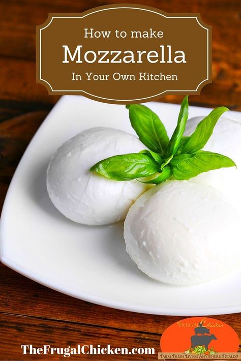 The easiest mozzarella recipe I've ever seen. Yum!  #cheese #mozzarella Mozzarella Cheese Aesthetic, Cheese Making For Beginners, Italian Mozzarella, Mozzarella Cheese Recipe, Homemade Mozzarella Cheese, Mozzarella Recipe, Cheese Recipes Homemade, Homemade Mozzarella, Cheese Making Recipes