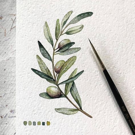 Olive Branch Art, Sorry Mom Tattoo, Olive Tattoo, Olive Branch Tattoo, Branch Tattoo, Fabric Painting On Clothes, Leaf Illustration, Greek Tattoos, Human Canvas