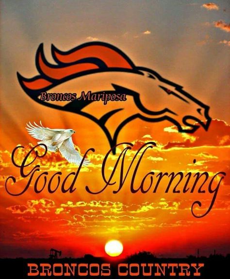 Broncos Wallpaper, Broncos Pictures, Denver Bronco, Denver Broncos Logo, Broncos Logo, Go Broncos, Hug Quotes, Denver Broncos Football, Chicano Art Tattoos