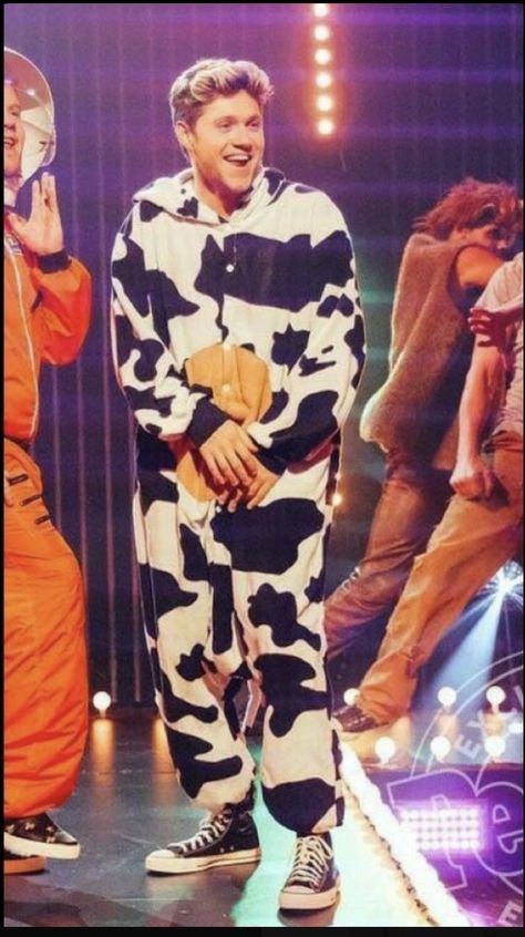 Four One Direction, Niall Horan Baby, One Direction Images, Cow Costume, Niall And Harry, Cowgirl Art, One Direction Photos, Irish Princess, Irish Boys