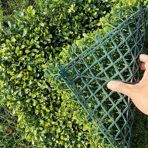 Artificial Yellow Boxwood Hedging Panel 50cm X 50cm Outdoor Privacy Panels, Tile Garden, Privacy Screening, Fence Privacy, Garden Privacy Screen, Artificial Green Wall, Artificial Hedges, Coconut Bowls, Boxwood Hedge