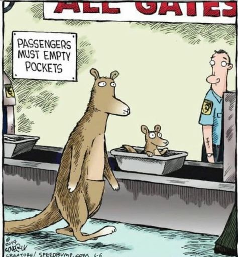 Kangaroo Cartoon, Garden Humor, Speed Bump Comic, Aviation Humor, Speed Bump, Cartoon Jokes, Baby Bump, Funny Cartoon, Funny Cartoons