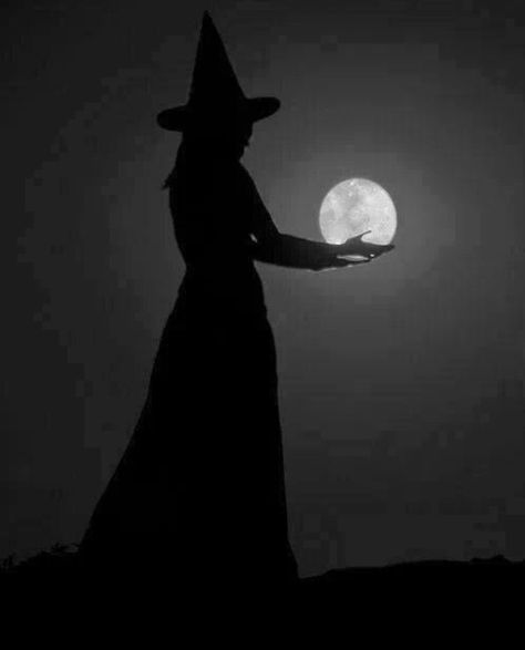 Full Moon Witch Full Moon Witch, Eclectic Witchcraft, Witch School, Water Witch, Independent Study, Spooky Art, Eclectic Witch, Moon Witch, Study Course