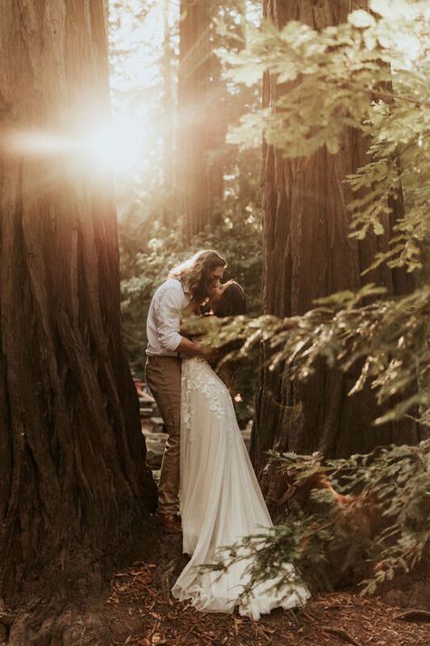 Big Sur Elopement Guide: Everything You Need to Know for 2023 Nature Elopement, Forest Engagement Photos, Big Sur Elopement, Where To Elope, Forest Theme Wedding, Couple Engagement Pictures, Big Sur Wedding, Indie Wedding, How To Elope