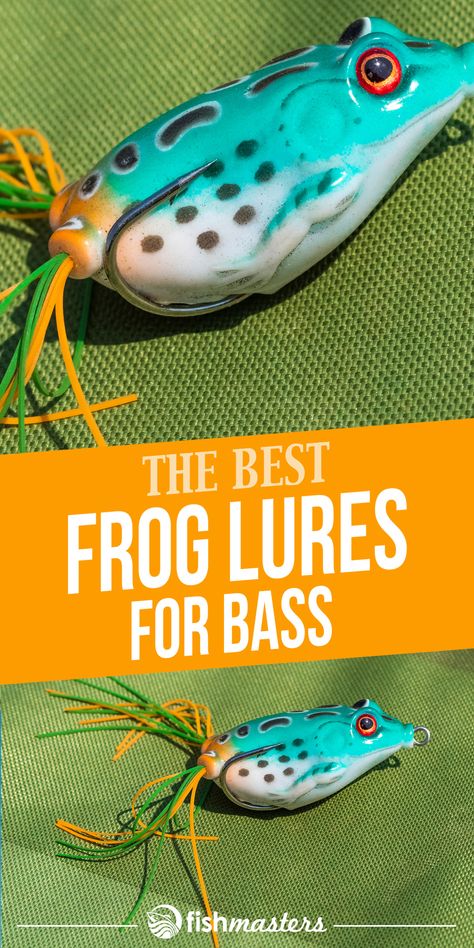 Best Bass Fishing Lures, Bass Fishing Pictures, Best Bass Lures, Frog Fishing, Fish Types, Bass Fishing Boats, Largemouth Bass Fishing, Diy Fishing Lures, Cooking Fish