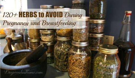 120+ Herbs to Avoid During Pregnancy and Breastfeeding Herbs To Avoid During Pregnancy, Holistic Postpartum, Holistic Parenting, Pregnancy Herbs, Medicine Alternative, Breastfeeding Cookies, Holistic Pregnancy, Pregnancy Remedies, Baby Remedies