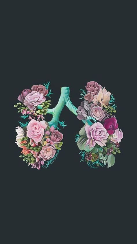 Lungs Art, Free Wallpaper Backgrounds, Medical Wallpaper, Cartoon Girl Drawing, Medical Art, Butterfly Drawing, Celestial Art, Wallpapers Iphone, Jolie Photo