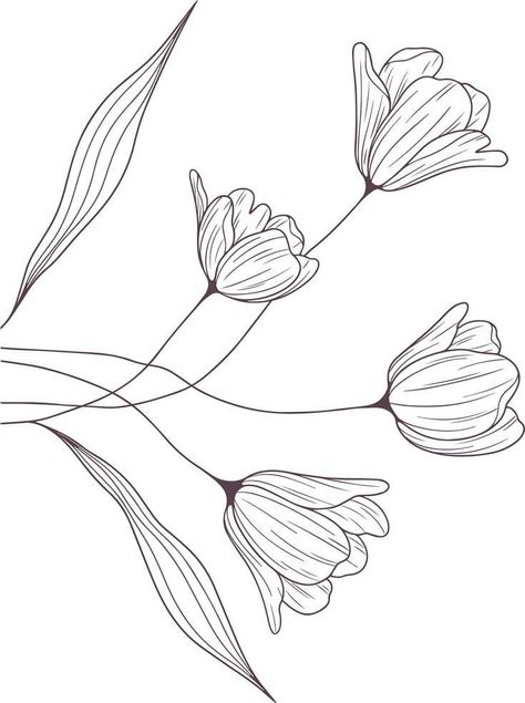 Background Designs For Drawings, Flower Line Drawing Pattern, Line Drawing Flower, Outline Flowers, Abstract Flower Design, Line Flowers, Flowers Line Art, Abstract Flower Pattern, Graphic Flowers