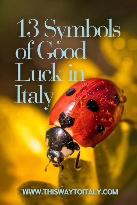 Would you like to know some symbols of good luck in Italy? Let’s have a look at the things believed to bring good luck and good fortune in Italy. #symbols #symbolsandmeanings #goodluck Italy Symbols, Luck Symbols, Bring Good Luck, Good Luck Symbols, Symbols And Meanings, Bad Luck, Good Fortune, The Things, Good Luck