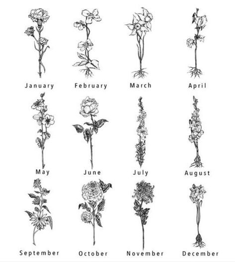 180+ Beautiful Birth Flower Tattoo Ideas (2023) - TattoosBoyGirl Fake Tattoo Sleeves, Tattoo Diy, February Birth Flowers, Illustration Tattoo, Beautiful Flower Tattoos, Marvel Tattoos, Tattoo Sleeves, Tattoo Templates, Gladioli