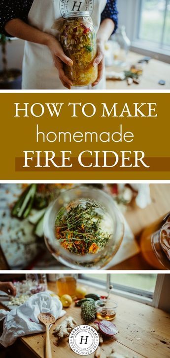 How To Make Homemade Fire Cider | Herbal Academy | 'Tis the season to make homemade fire cider! A shot glass of this a day is a great defense against colds and flu, and it also acts as a decongestant! Fire Cider Recipe, Herbal Academy, Fire Cider, Cider Recipe, Herbal Recipes, Herbal Healing, Cold Remedies, Homemade Remedies, Sore Throat