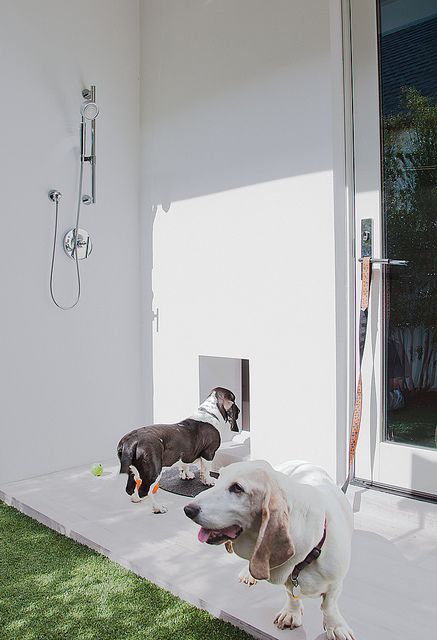 Outdoor shower right next to the doggy door - they have thought of everything. Best Dog Door, Pet Washing Station, Dog Room Decor, Outside Dogs, Dog Washing Station, Pet Doors, Mudroom Design, Pet Door, Dog Wash