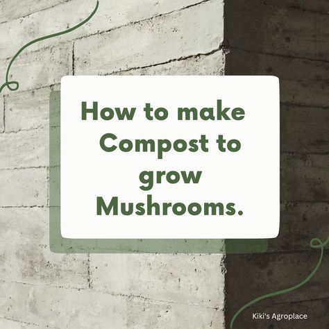 How to make compost for Button Mushrooms Mushroom Ideas, Mushroom Farming, Make Compost, Diy Mushroom, Mushroom Compost, Grow Mushrooms, Mushrooms Growing, How To Make Compost, Button Mushroom