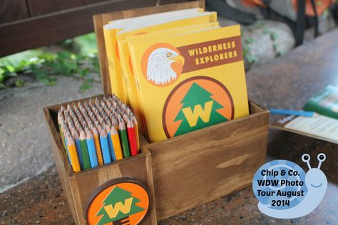 Wilderness Explorer Party, Explorer Birthday Party, Disney Themed Rooms, Recuerdos Primera Comunion Ideas, Lumberjack Birthday Party, Wilderness Explorer, Wood Badge, Lumberjack Birthday, Up Theme