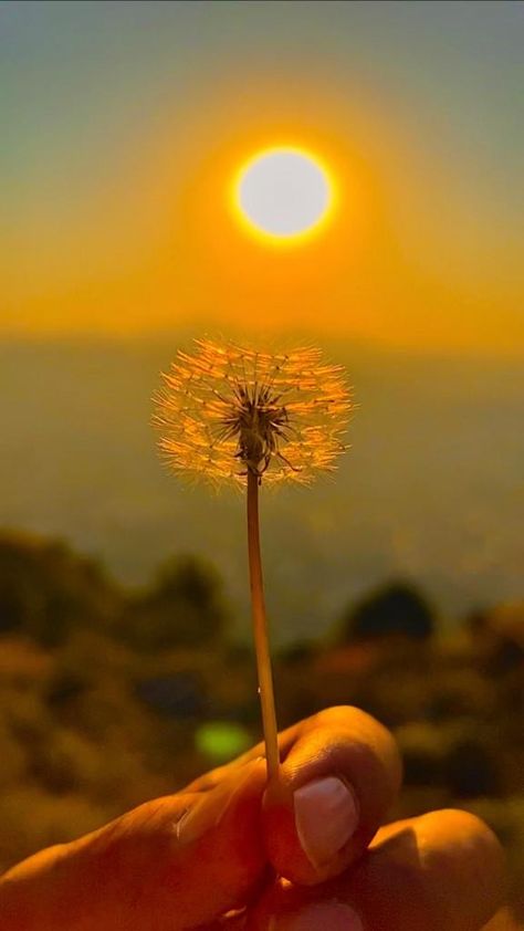 Pretty Sun Pictures, Sun People Aesthetic, Ball Of Sunshine Aesthetic, Aesthetic Sunshine Pictures, Sun Rising Wallpaper, Soleilcore Aesthetic, Sun Personality Aesthetic, Lori Core Aesthetic, Sun Pics Aesthetic