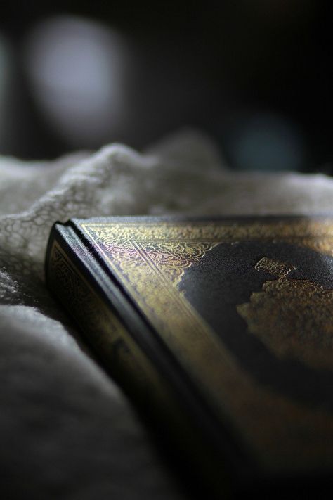 Quran Light, #Light, #Quran Quran Dpz Aesthetic, Quran Images Beautiful, Quran Images For Dp, Quran Pics For Dp, Quran Astetic Pic, Quran Background Wallpapers, Quran Aesthetic Pictures, Quraan Image, Al Quran Aesthetic