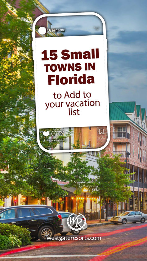 �🌴✨ Ready to escape the crowds? Discover Florida’s charming small towns for your next getaway. From historic gems to hidden treasures, here’s your guide to exploring beyond the theme parks! Things To Do In Florida, Vacation List, Theme Parks, Hidden Treasures, Hidden Gems, Small Towns, Theme Park, How To Introduce Yourself, Things To Do