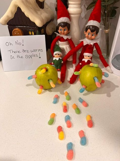 Elf On The Shelf With Squishmallow, Elf On The Shelf Gummy Worms, Double Elf On The Shelf Ideas Funny, Elf On The Shelf Summer Visit, Summer Elf On The Shelf, Elf On The Shelf Ideas With Candy, Amazing Elf On The Shelf Ideas, Elf Ideas 2023, Elf On The Shelf Ideas Dollar Tree