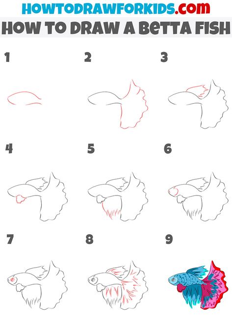 Betta Fish Drawing Easy, Beta Fish Drawing Simple, How To Draw A Betta Fish, How To Draw A Beta Fish, How To Draw A Fish, How To Draw A Beta Fish Step By Step, Beta Fish Sketch, Beta Fish Drawing Step By Step, How To Draw A Betta Fish Step By Step