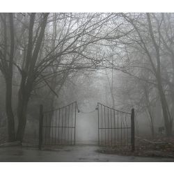 Creepy Fog, Ghost Hunting Equipment, Secret Garden Parties, Le Cri, Spooky Places, Ghost Dog, Foggy Morning, Hill House, Garden Gate