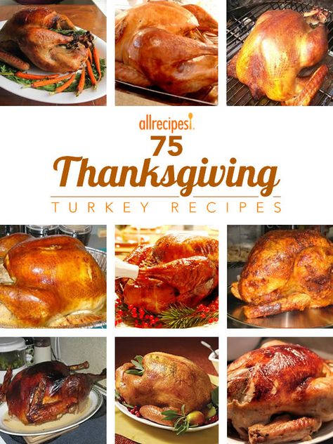 Get trusted recipes for preparing the perfect holiday bird including brines, deep-fried, roasted and more from home cooks like you. Delicious Turkey Recipes, Best Turkey Recipe, Christmas Turkey Recipes, Perfect Roast Turkey, Whole Turkey Recipes, The Best Turkey, Roast Turkey Recipes, Whole Turkey, Best Turkey