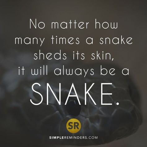 McGill Media on Instagram: “No matter how many times a snake sheds its skin, it will always be a snake.⠀ ⠀ @Simplereminders @BryantMcGill @JenniYoungMcGill⠀…” Snakes Quotes, Snake Personality, Plant Quotes, Quotes Instagram, A Snake, Snake Plant, People Quotes, True Words, Positive Thoughts