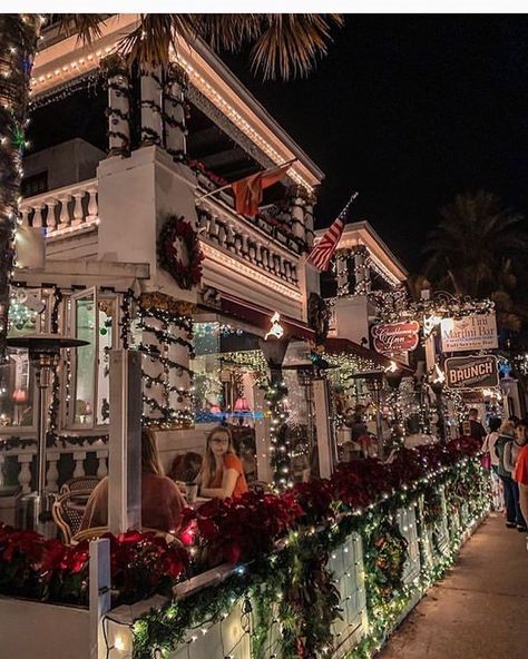 St Augustine Florida Christmas, Augustine Aesthetic, Months Aesthetic, Fun Checklist, Christmas In Florida, Christmas Building, Florida Winter, Winter In Florida, Snow Birds