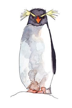 Rockhopper love Draw Penguin, Penguin Tattoos, Pinguin Illustration, Penguin Sketch, Watercolor Penguin, Penguin Watercolor, Rockhopper Penguin, Penguin Tattoo, Penguin Illustration