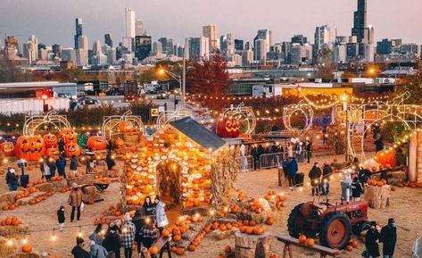 Jack’s Popular Over-The-Top Pumpkin Pop-Up Has Returned For Its Fifth Year - Secret Chicago Places To Go For Halloween, Pumpkin Patch Business, Halloween Things To Do, Halloween Tour, Things To Do In Chicago, Chicago Tours, Halloween Top, Corn Maze, Downtown Chicago