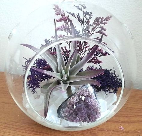 Grow A Garden Anywhere! 18 Fun Ideas to Expand Your Garden Space | OutsideModern Terrarium Design, Terrariums Diy, Crystal Terrarium, Air Plant Garden, Air Plants Decor, Hanging Terrarium, Plant Terrarium, Air Plant Display, Air Plant Terrarium