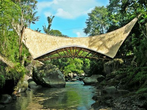 Bamboo Bridge, Le Manoosh, Millenium Bridge, Building A Trellis, Millennium Bridge, Bamboo Structure, Bamboo Architecture, Bamboo Construction, Eco Architecture