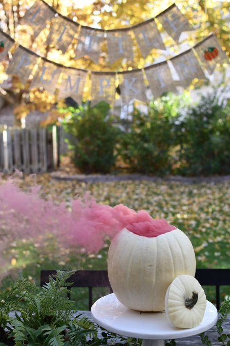 Fall Gender Reveal - Madison Fichtl Fall Gender Reveal Party, Pumpkin Gender Reveal, Simple Gender Reveal, Creative Gender Reveals, Gender Reveal Baby Shower Themes, Halloween Gender Reveal, Baby Gender Reveal Party Decorations, Gender Reveal Announcement, Pregnancy Gender Reveal