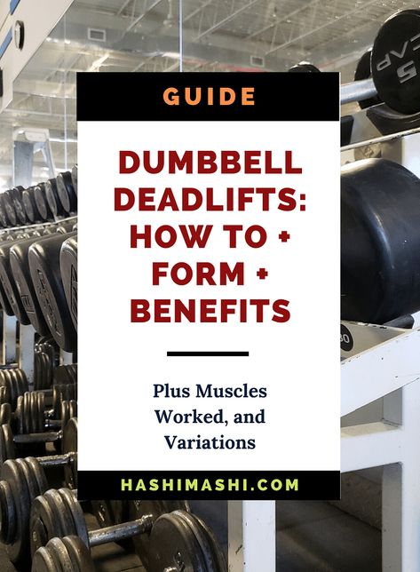 Dumbbell Deadlift Guide: What is the correct form, the muscles worked, the benefits, and how to do deadlifts with dumbbells. Dumbbell Deadlift Form, Dumbbell Deadlift Women, Deadlift With Dumbbells, How To Do Deadlifts, Dumbell Deadlift, Deadlift Muscles Worked, Dumbbell Deadlift, Bodybuilding Women Diet, Deadlift Form