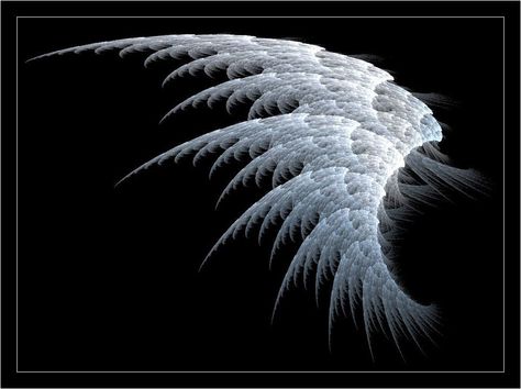 White Angel Wings | desertplanet Ice Wings, Angel Wings Background, Dark Angel Wings, Wings Wallpaper, White Angel Wings, Angel Wallpaper, Background Hd Wallpaper, White Angel, Learn To Fly