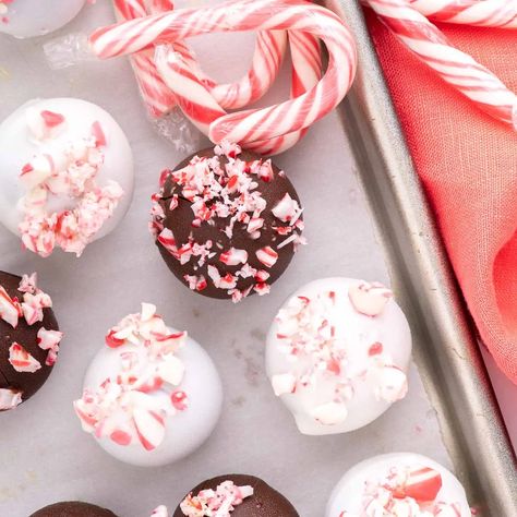 Peppermint Oreo Balls Oreo Recipes Easy, Oreo Balls Christmas, Oreo Balls Recipe, Cream Cheese Oreo, Oreo Cookie Balls, Cake Ball Recipes, Candy Wafers, Cookie Balls, Cake Ball