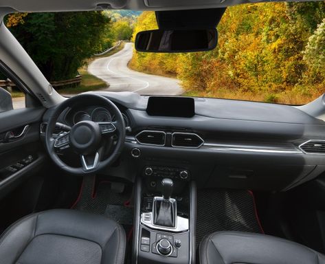 Car Dashboard Aesthetic, Woman In Car, Inside Car, Luxury Car Interior, Grassy Field, Car Fuel, Cabin Interiors, Line Light, Car Dashboard