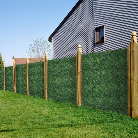 Privacy Fence For Adu, Wood Fence Covering Ideas, Privacy Vines For Fence, Backyard Fence For Dogs, Privacy Fences On A Budget, Grass Privacy Screen, Artificial Grass Wall Outdoor, Temporary Privacy Fence Ideas, Outdoor Grass Wall