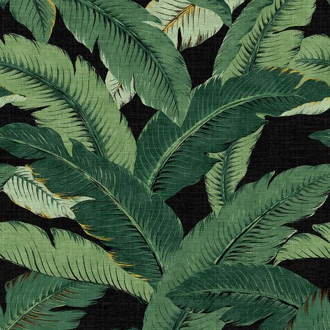 "Buy the Tommy Bahama® Swaying Palms Peel & Stick Wallpaper at Michaels. com. Featuring large scale banana leaves, it is the perfect way to transform your interior into a tropical oasis. Decorate and transform interior walls, furniture, powder room, stair riser, backsplash and many other DIY decorative applications with the Swaying Palms Peel & Stick Wallpaper by Tommy Bahama. It features large scale banana leaves! Peel and stick to any smooth flat surface without mess or sticky residue left beh Foliage Print, Tommy Bahama Home, Palm Wallpaper, Wallpaper Ceiling, Beverly Hills Hotel, Face Wrinkles, Stair Risers, Tropical Wallpaper, Banana Leaves