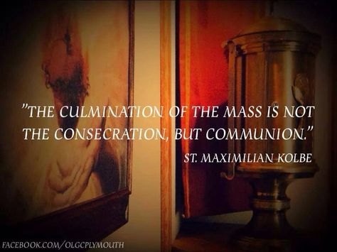 St. Maximilian Kolbe St Maximilian Kolbe, Maximilian Kolbe, St Maximilian, Eucharistic Adoration, Saint Quotes Catholic, Psalm 121, Take Me To Church, Saint Quotes, Francis Of Assisi