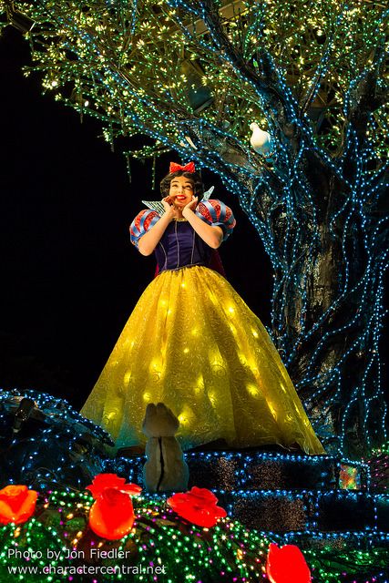 2014 - Snow White - Tokyo Disneyland Electrical Parade Dreamlights Disneyland Snow White, Disney Electrical Parade, Snow White Cosplay, Disney Parade, Disney Traditions, Disney Princess Dresses, Disney Face Characters, Tokyo Disney Resort, Disney Princess Pictures