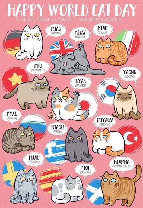 World Cat Day, International Cat Day, World Cat, Cat Hacks, Cat Comics, Neko Cat, Different Languages, Cat Facts, Cats Illustration