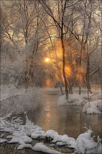 Snow And Trees, Era Victoria, Winter Scenery, Outdoor Photos, Winter Beauty, Snow Scenes, Winter Wonder, Alam Yang Indah, 60 Seconds