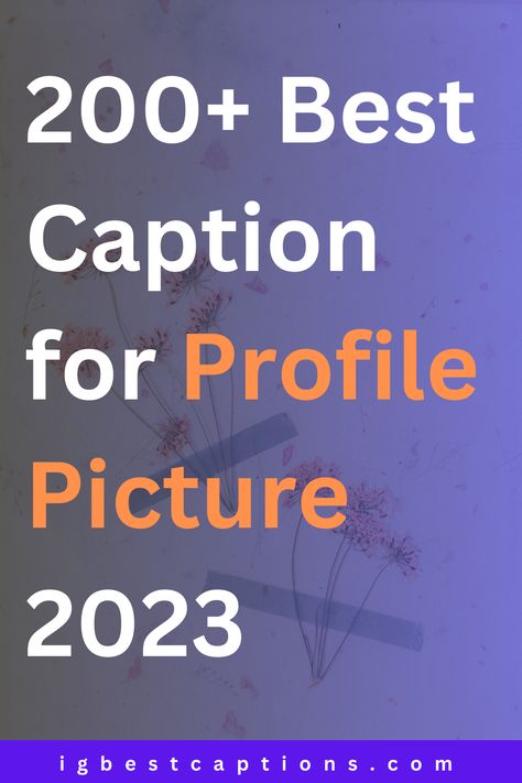 Your profile picture is the first impression you make on social media platform. It is the face of your online identity and the perfect opportunity to showcase your unique personality. A great profile picture can reflect your style, interests, and even your brand. Cool Facebook Profile Pictures, Fb Profile Picture Captions, Funny Caption For Profile Picture, Quote For Profile Picture, Profile Picture Quotes Good Vibes, Profile Picture Message, Facebook Photos Profile Pictures, Fb Profile Caption Ideas, Change Profile Picture Caption