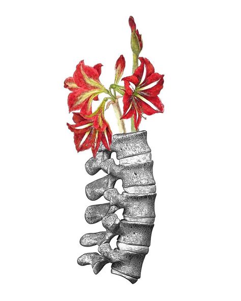 Spine Drawing, Medical Artwork, Anatomy Tattoo, Vertebral Column, Clinic Decor, Poster Human, Human Anatomy Art, Medical Art, Ap Art