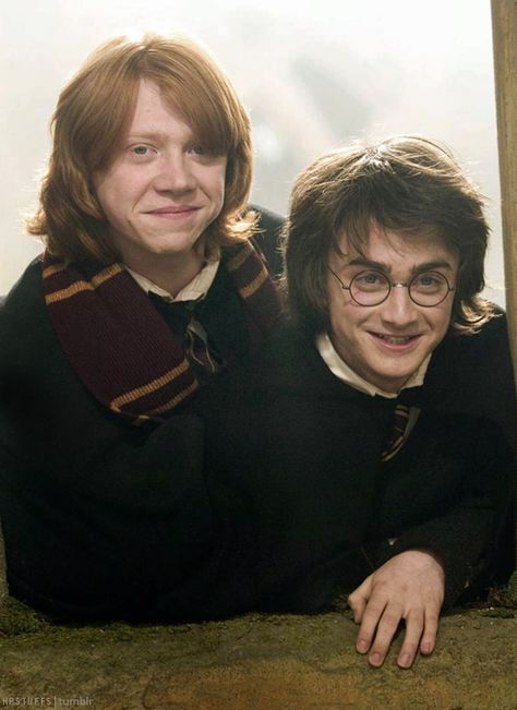 Ron Weasley and Harry Potter Ron And Harry, Harry Potter Ron, Yer A Wizard Harry, Images Harry Potter, Golden Trio, Harry James, Harry James Potter, Harry Pottah, Harry Potter Pictures