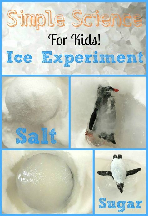 Arctic Science Experiments For Kids, Pets Eyfs, Polar Activities, Polar Explorer, Winter Science, Simple Science, Winter Kindergarten, Kid Experiments, Winter Preschool