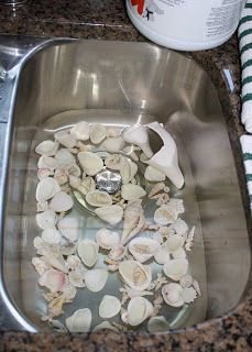 Seashell Wreaths, Shell Wreaths, Seashell Ideas, Seashell Wall Decor, Beach Wreaths, Seashore Decor, Shell Projects, Sea Shells Diy, Diy Beach Decor