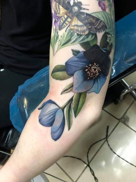 Hellebores addition to this growing garden of deathly delights♥️ Thank you Jessica! #eternalink #tattoo #garden #flowers #flowertattoo #botanicaltattoo #hellebore #poison #dark #realistictattoo #realism #skinartmag #tattooartistmagazine #ink #inked #tattoooftheday #femaletattooartist #michigantattooers Dark Color Tattoo Cover Up, Color Realism Flower Tattoo, Hellebore Flower Tattoo, Dark Botanical Tattoo, Poisonous Flowers Tattoo, Cheeky Tattoos, Hellebore Tattoo, Dark Floral Tattoo, Poison Garden