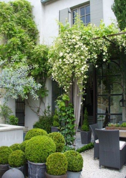 Boxwood Garden, Balcony Design, Apartment Garden, Garden Boxes, Courtyard Garden, Back Garden, Small Gardens, Balcony Garden, Front Garden